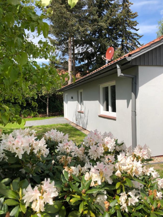 Kleine Auszeit In Salzhausen Villa Buitenkant foto